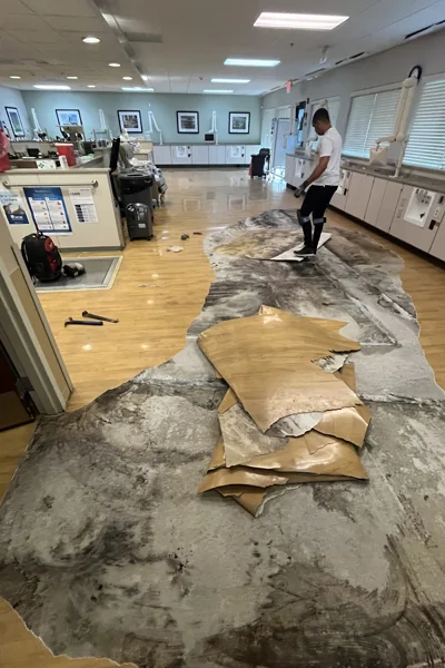 flooring10